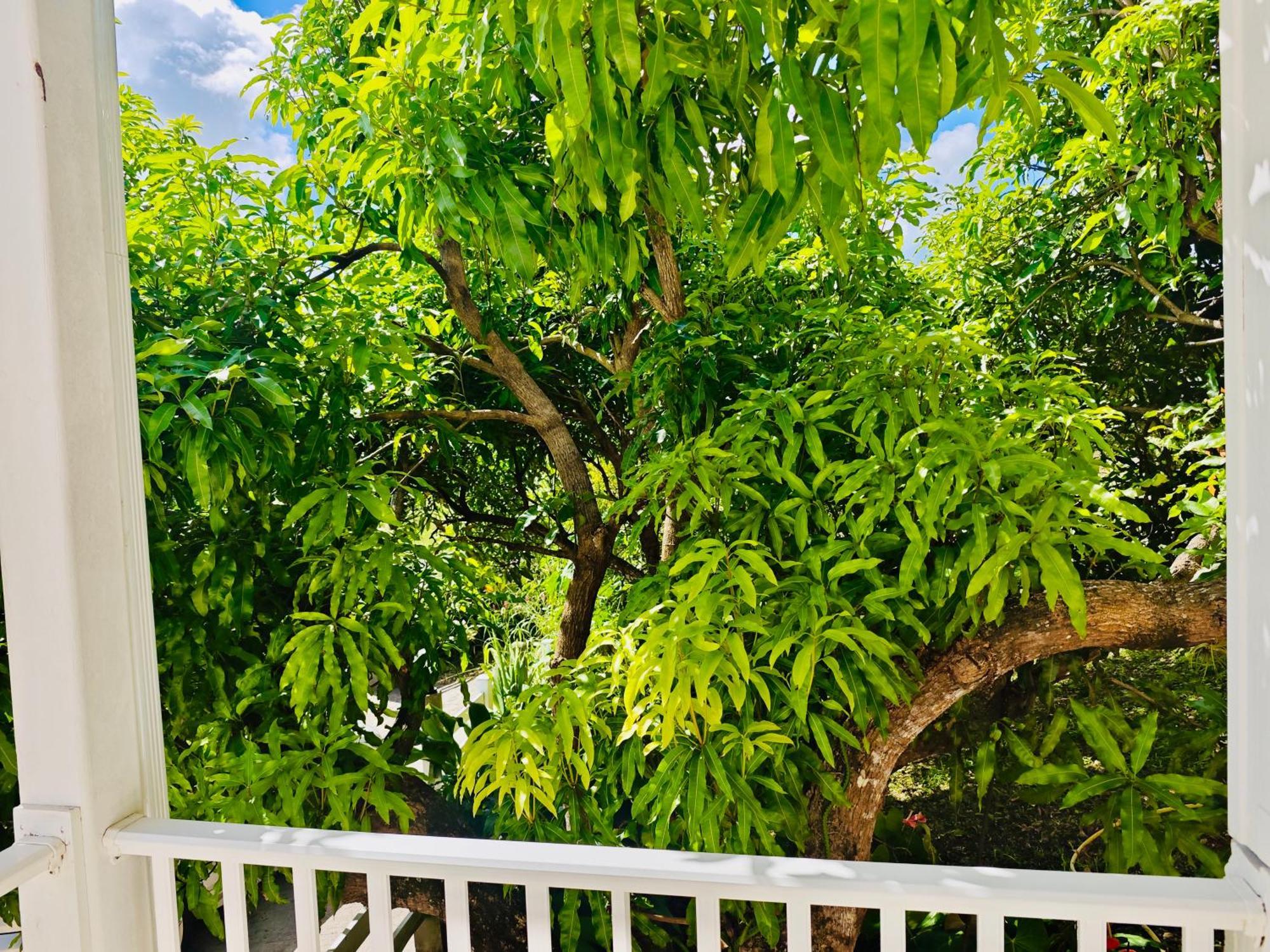 Gîte Acélie Morne-a-l'Eau Esterno foto